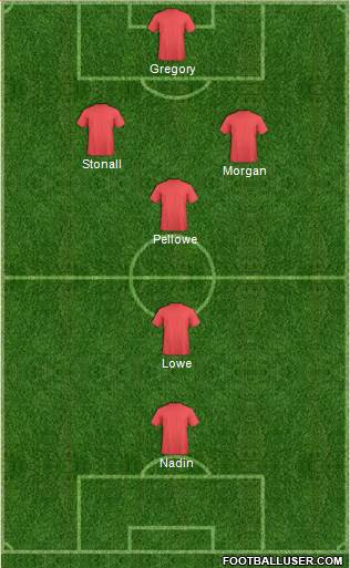 Brighton and Hove Albion Formation 2014