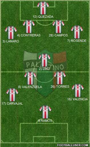 CD Palestino S.A.D.P. Formation 2014