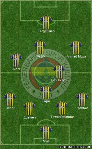 Fenerbahçe SK Formation 2014