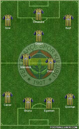 Fenerbahçe SK Formation 2014