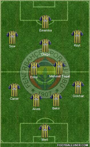 Fenerbahçe SK Formation 2014