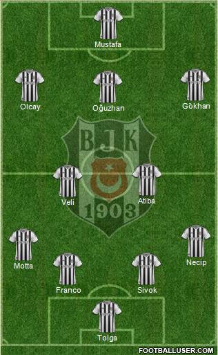 Besiktas JK Formation 2014