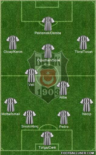 Besiktas JK Formation 2014