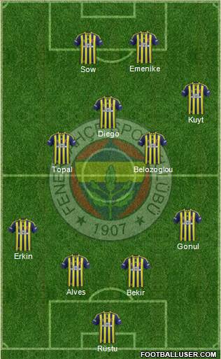 Fenerbahçe SK Formation 2014