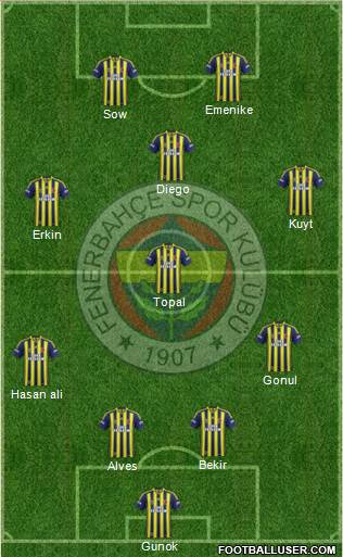 Fenerbahçe SK Formation 2014