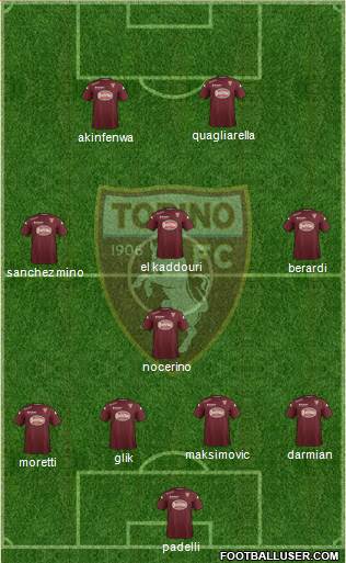 Torino Formation 2014