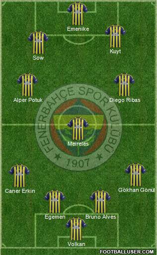 Fenerbahçe SK Formation 2014