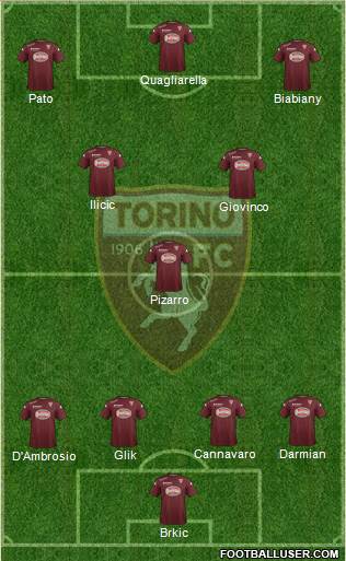 Torino Formation 2014