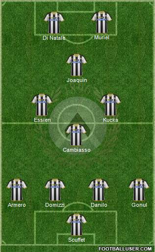Udinese Formation 2014