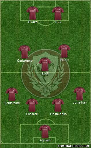 Arezzo Formation 2014