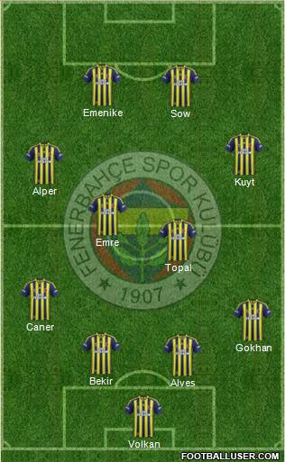 Fenerbahçe SK Formation 2014