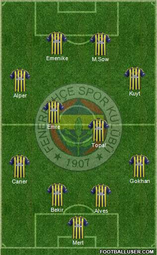 Fenerbahçe SK Formation 2014