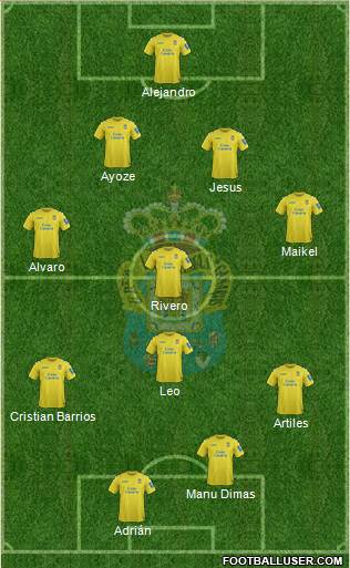 U.D. Las Palmas S.A.D. Formation 2014