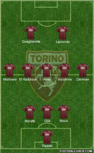 Torino Formation 2014