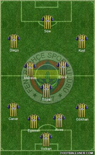 Fenerbahçe SK Formation 2014