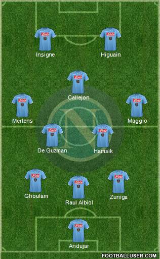 Napoli Formation 2014