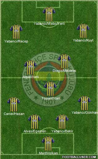 Fenerbahçe SK Formation 2014