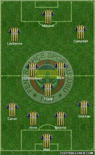 Fenerbahçe SK Formation 2014