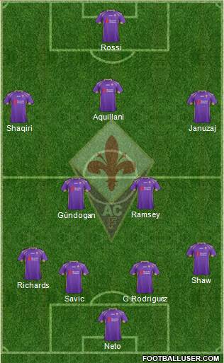 Fiorentina Formation 2014