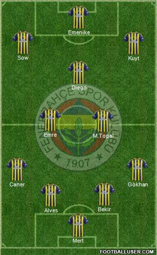 Fenerbahçe SK Formation 2014