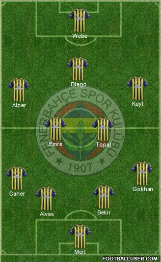 Fenerbahçe SK Formation 2014