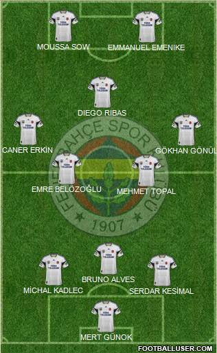 Fenerbahçe SK Formation 2014