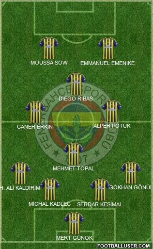 Fenerbahçe SK Formation 2014