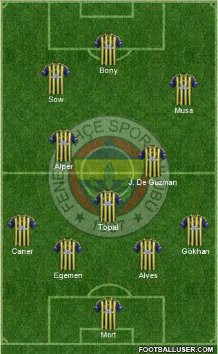 Fenerbahçe SK Formation 2014