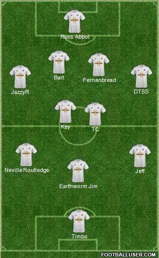 Swansea City Formation 2014