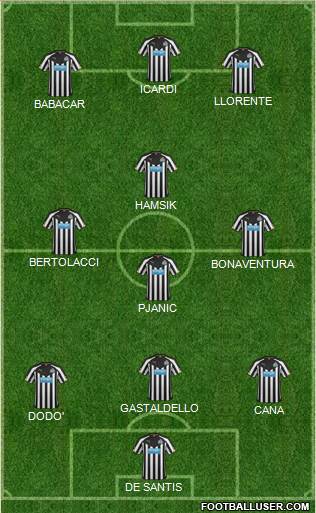 Newcastle United Formation 2014