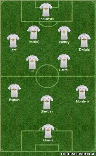 Swansea City Formation 2014