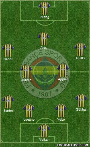 Fenerbahçe SK Formation 2014