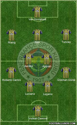 Fenerbahçe SK Formation 2014