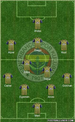 Fenerbahçe SK Formation 2014
