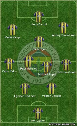 Fenerbahçe SK Formation 2014