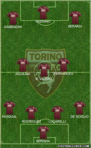 Torino Formation 2014