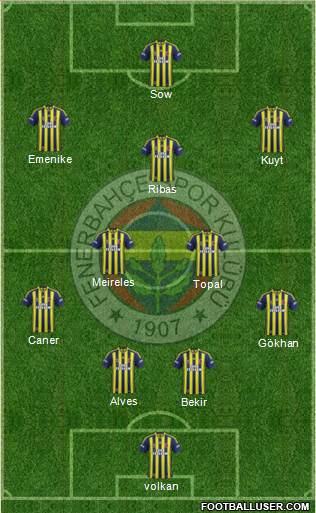 Fenerbahçe SK Formation 2014