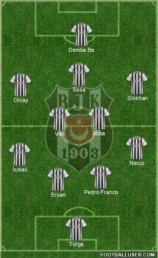Besiktas JK Formation 2014