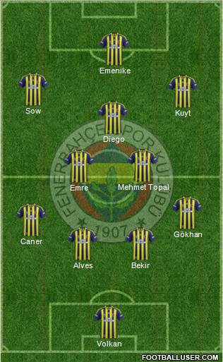 Fenerbahçe SK Formation 2014
