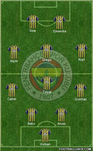 Fenerbahçe SK Formation 2014