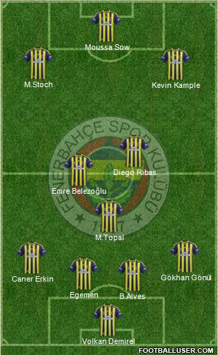 Fenerbahçe SK Formation 2014