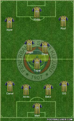 Fenerbahçe SK Formation 2014