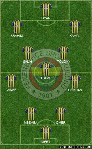 Fenerbahçe SK Formation 2014