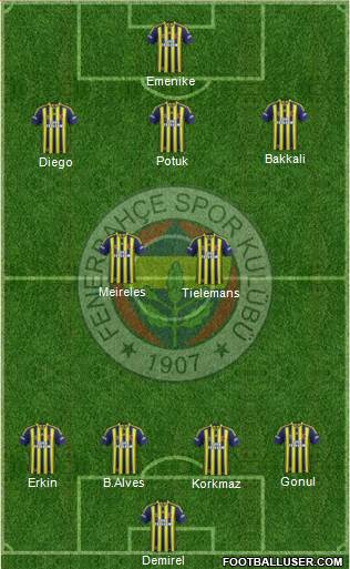 Fenerbahçe SK Formation 2014