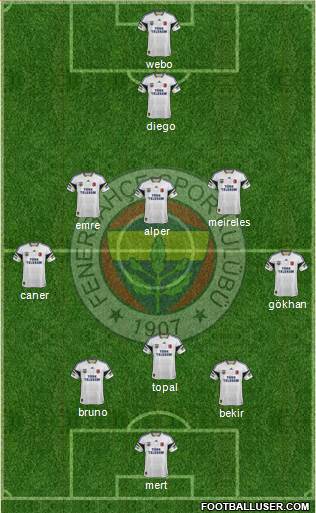 Fenerbahçe SK Formation 2014