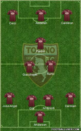 Torino Formation 2014