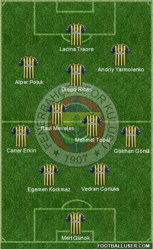 Fenerbahçe SK Formation 2014