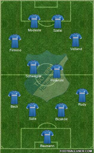 TSG 1899 Hoffenheim Formation 2014