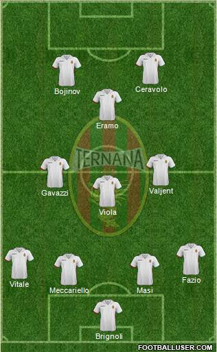 Ternana Formation 2014