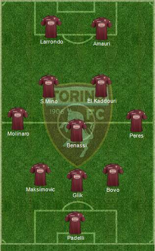 Torino Formation 2014